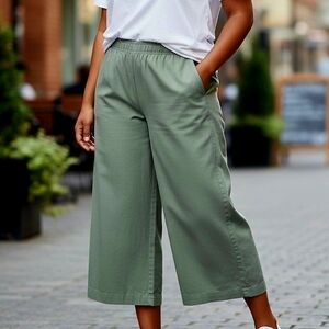 LOFT Sage Wide-Leg Pants XL